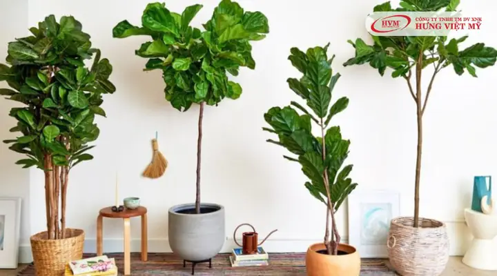quà tân gia dưới 500k quà tân gia dưới 500k
