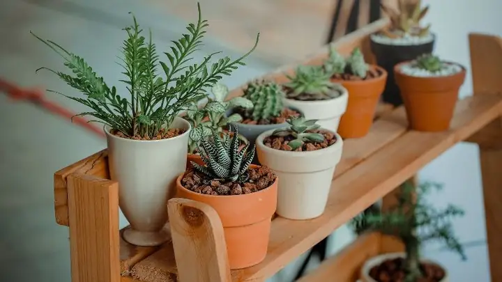 Quà tặng bạn gái rẻ mà ý nghĩa: Gợi ý và lựa chọn thông minh Quà tặng bạn gái rẻ mà ý nghĩa: Gợi ý và lựa chọn thông minh