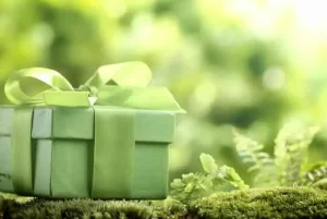 Quà Tặng Bảo Vệ Môi Trường: Xu Hướng, Ý Nghĩa Và Gợi Ý Độc Đáo
