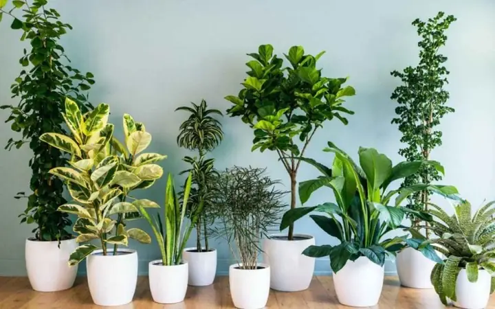 25+ Gợi Ý Quà Tặng Cảm Ơn Ý Nghĩa, Tinh Tế Và Sâu Sắc