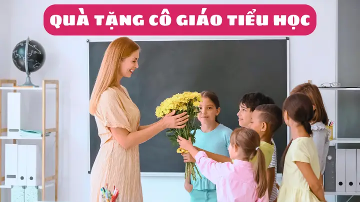 Gợi Ý Hơn 50 Món Quà Tặng Cô Giáo Tiểu Học Vừa Độc Đáo, Vừa Ý Nghĩa