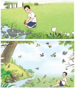 Khám phá "Quà tặng của chú chim non": Bài học từ thiên nhiên