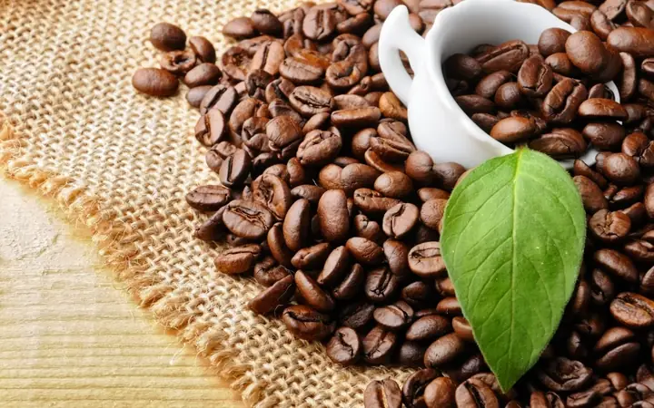 Chọn quà tặng đối tác nước ngoài: Nâng tầm mối quan hệ qua văn hóa Việt Chọn quà tặng đối tác nước ngoài: Nâng tầm mối quan hệ qua văn hóa Việt