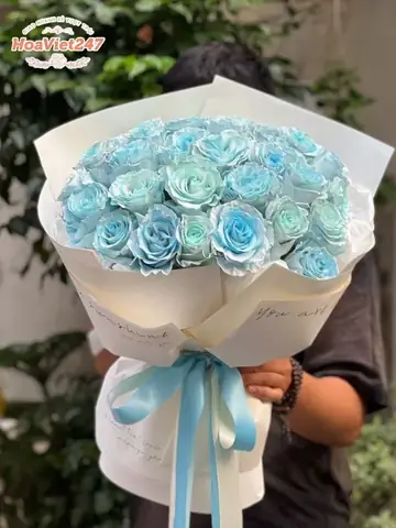 Tặng Hoa Hồng Xanh: Món Quà Đặc Biệt Mang Thông Điệp Gì?
