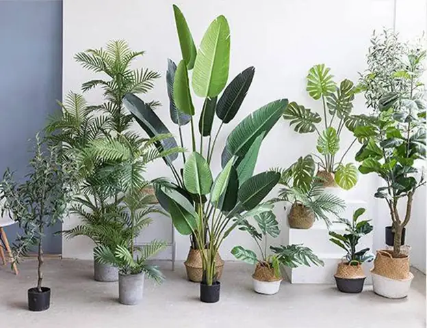 Gợi Ý Quà Tặng Khai Trương Phòng Khám: Ý Nghĩa & Thực Tế