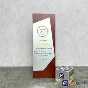 CÃºp thiáº¿t káº¿ vinh danh cá»ng hiáº¿n Everlife CTR131