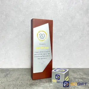CÃºp thiáº¿t káº¿ vinh danh cá»ng hiáº¿n Everlife CTR131 2