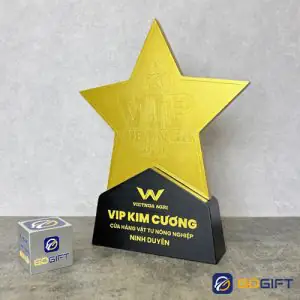 CÃºp thiáº¿t káº¿ VIP Viá»t Nga 2025 CTR129 2