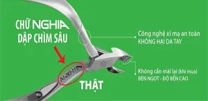 Quà Tặng Mạ Vàng 24K: Hướng Dẫn Lựa Chọn Và Ý Nghĩa Sâu Sắc