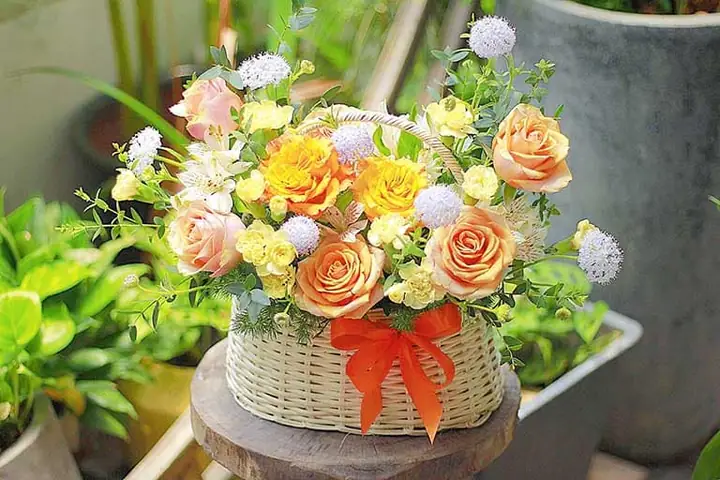 Quà Tặng Ngày Thành Lập Trường: Gợi Ý Ý Nghĩa & Thiết Thực