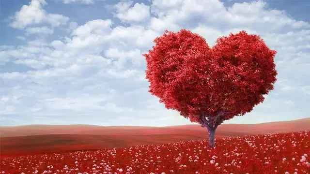 Chọn Quà Tặng Ngày Vía Thần Tài: Ý Nghĩa & Gợi Ý Chi Tiết