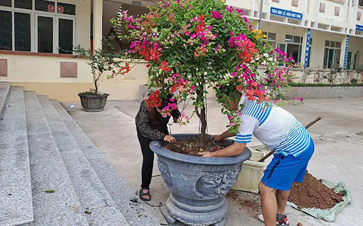 QuÃ  táº·ng trÆ°á»ng há»c cáº¥p 1, 2, 3, Äáº¡i há»c