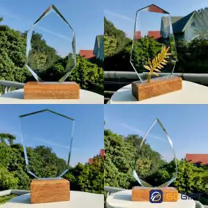 CÃºp pha lÃª Äáº¿ gá» lÆ°u niá»m