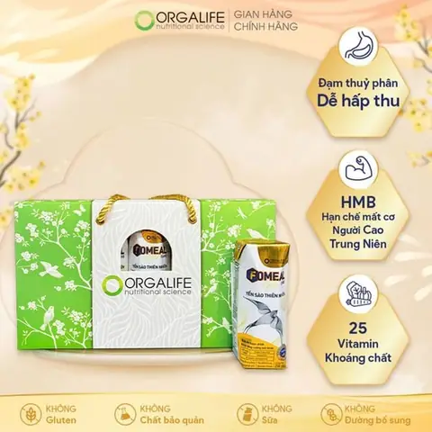 Quà Tặng Sức Khỏe Cho Người Già: Cẩm Nang Toàn Diện Từ A Đến Z