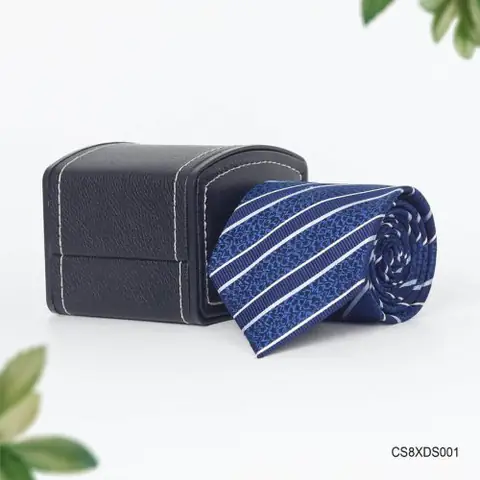 CS8XDS001-gl