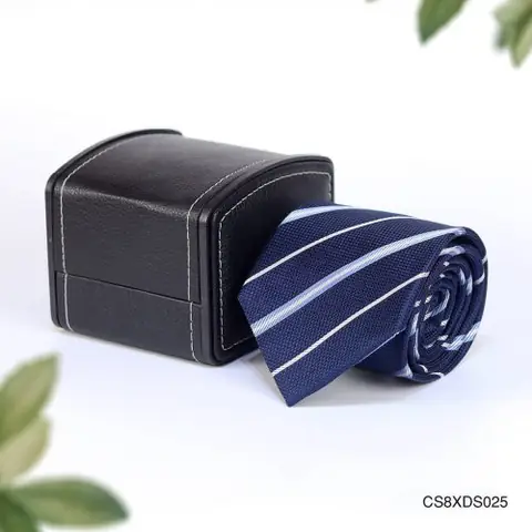 CS8XDS025