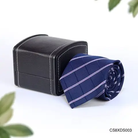 CS8XDS003-1-bs