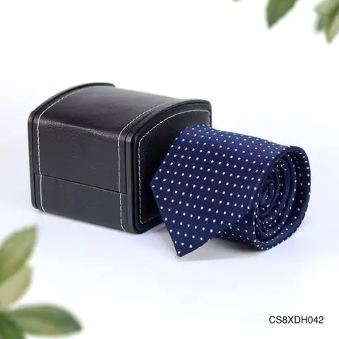 CS8XDH042-1-bs