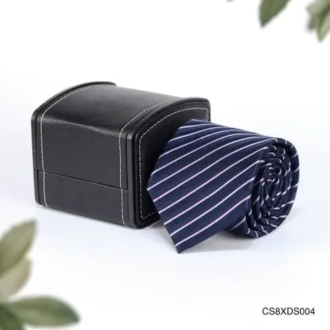 CS8XDS004-gl