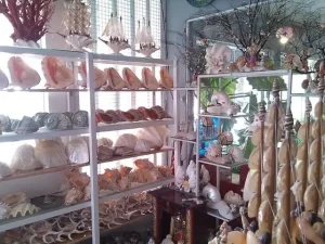 Review Top Shop Quà Lưu Niệm Ở Vũng Tàu Chất Lượng và Đa Dạng