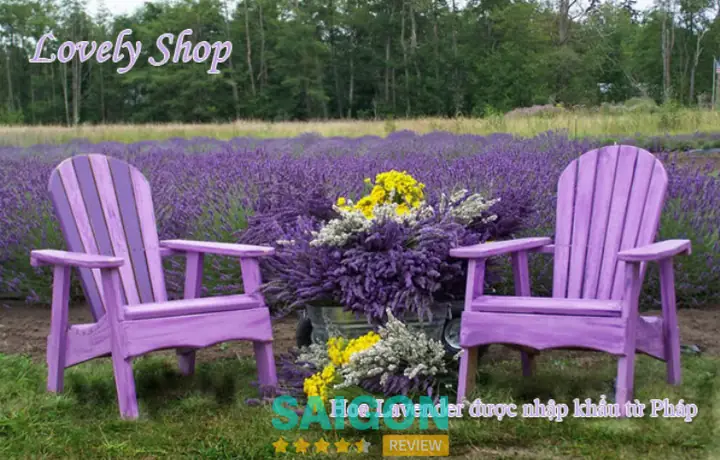 Các Shop Quà Lưu Niệm Thủ Đức Uy Tín: Đánh Giá Chi Tiết
