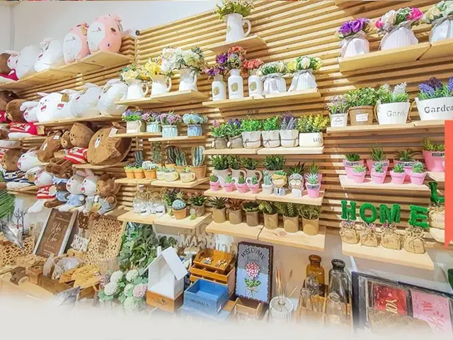 4. Shop Lingzakka