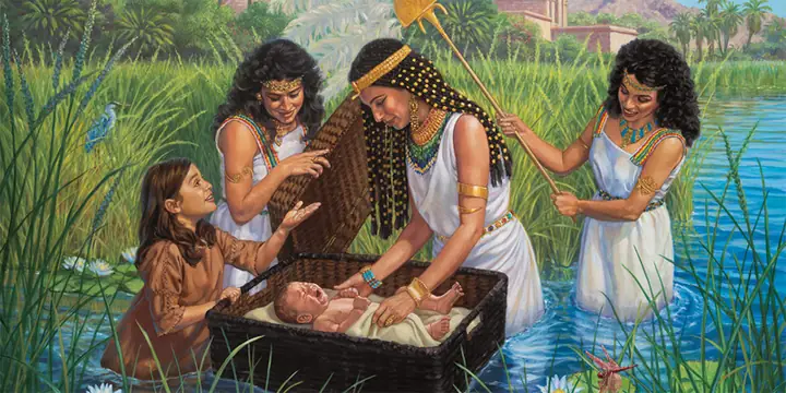 Tải Bài Hát Em Là Món Quà Vô Giá: Chia Sẻ Ý Nghĩa Quà Tặng Tình Yêu Tải Bài Hát Em Là Món Quà Vô Giá: Chia Sẻ Ý Nghĩa Quà Tặng Tình Yêu
