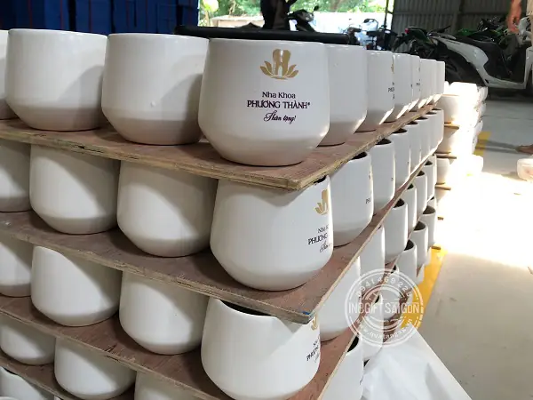 Chậu cây cảnh để bàn: