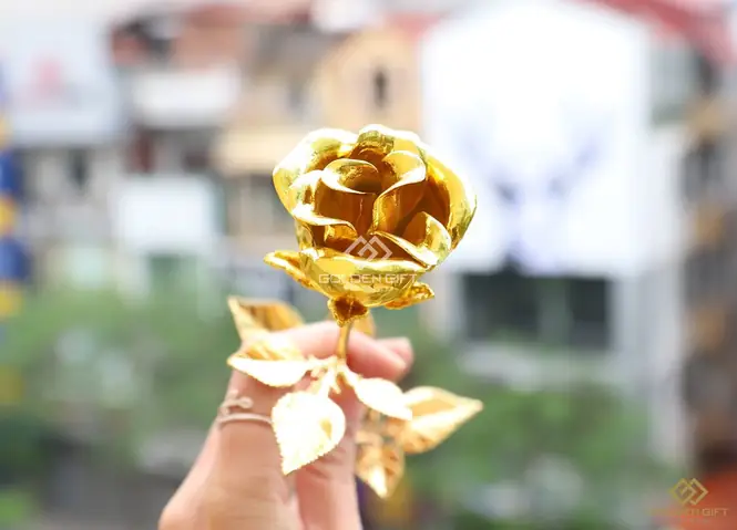 Tặng Quà Cho Giáo Viên Nước Ngoài: Gợi Ý Ý Nghĩa & Tinh Tế