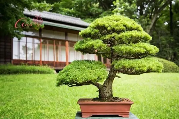 tặng quà gì cho người yêu nam