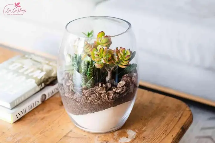 Gợi ý quà tặng ngày 8 3 ý nghĩa và độc đáo dành cho phái đẹp