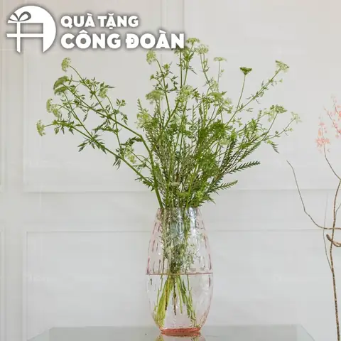 Tặng quà Tháng Công nhân: Gợi ý Quà tặng thiết thực và Ý nghĩa Tặng quà Tháng Công nhân: Gợi ý Quà tặng thiết thực và Ý nghĩa