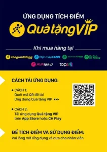 Tất đẹp và quà tặng: Cẩm nang chọn và phối đồ tinh tế