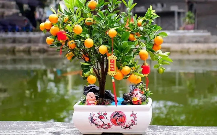 Tết Này Tặng Quà Gì? Gợi Ý Quà Tết Ý Nghĩa Cho Người Thân Tết Này Tặng Quà Gì? Gợi Ý Quà Tết Ý Nghĩa Cho Người Thân