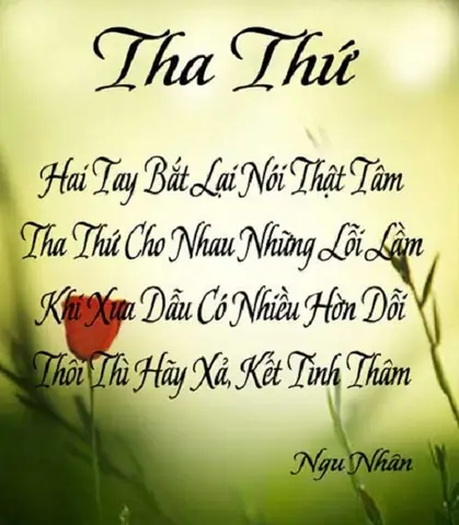 Tha Thứ Cho Người Khác Là Món Quà: Sức Mạnh Chữa Lành Từ Tâm Tha Thứ Cho Người Khác Là Món Quà: Sức Mạnh Chữa Lành Từ Tâm