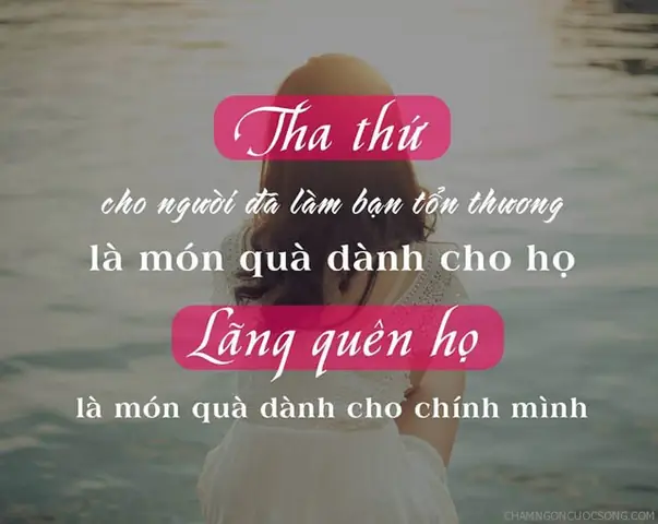Tha Thứ Cho Người Khác Là Món Quà: Sức Mạnh Chữa Lành Từ Tâm Tha Thứ Cho Người Khác Là Món Quà: Sức Mạnh Chữa Lành Từ Tâm