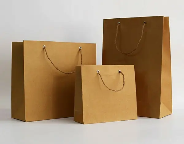 Thiết Kế Túi Đựng Quà: Hướng Dẫn Toàn Diện Cho Mọi Dịp