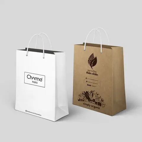 Thiết Kế Túi Đựng Quà: Hướng Dẫn Toàn Diện Cho Mọi Dịp