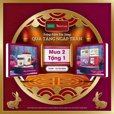 Thu Mua Quà Khuyến Mãi: Giải Pháp Tối Ưu Cho Quà Tặng Dư Thừa Và Nhu Cầu Tiêu Dùng Mới