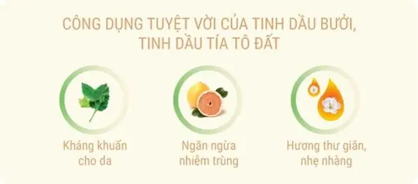 Hướng Dẫn Tích Điểm Đổi Quà Mamamy Chi Tiết Nhất