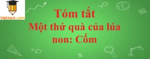 Cốm: Tóm tắt bài Một thứ quà của lúa non và giá trị quà tặng