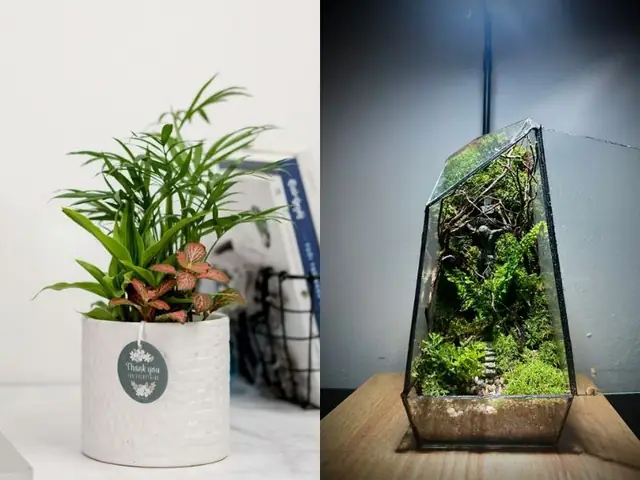 tốt nghiệp tặng quà gì