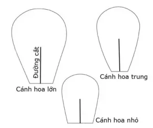 Hướng Dẫn Trang Trí Hộp Quà 8 3 Đẹp, Độc Đáo Và Ấn Tượng