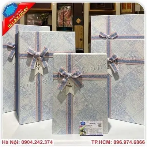 Tìm hiểu về Túi Đựng Quà Cỡ Lớn tại In Viễn Đông