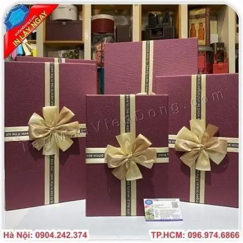 Tìm hiểu về Túi Đựng Quà Cỡ Lớn tại In Viễn Đông