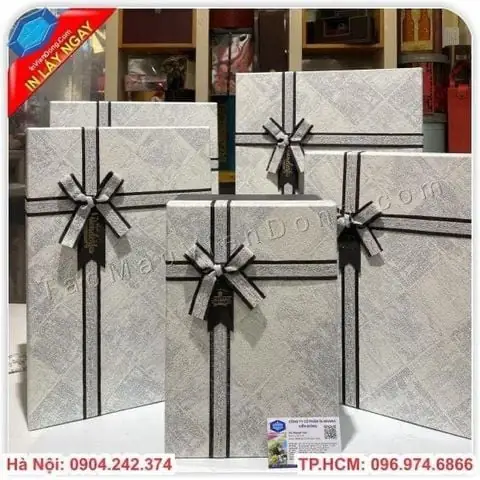 Tìm hiểu về Túi Đựng Quà Cỡ Lớn tại In Viễn Đông