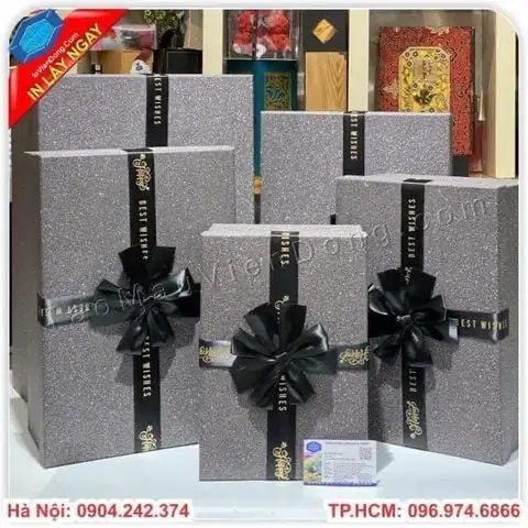 Tìm hiểu về Túi Đựng Quà Cỡ Lớn tại In Viễn Đông