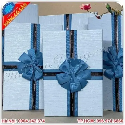 Tìm hiểu về Túi Đựng Quà Cỡ Lớn tại In Viễn Đông