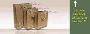 Hướng Dẫn Toàn Diện Về Túi Giấy Đựng Quà Giá Sỉ