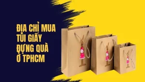 Các Địa Chỉ Uy Tín Mua Túi Giấy Đựng Quà TPHCM Chất Lượng